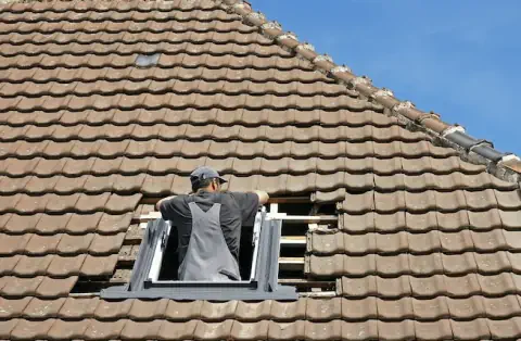 Pose de velux - Poisson